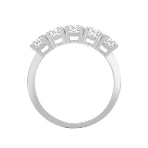 18ct White 0.25ct Natural Diamond 5 stone Ring