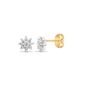 9E009 | 9ct yellow gold 25pt claw set cluster Natural Diamond stud earrings.