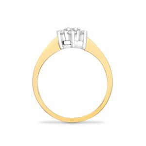 9ct Yellow Gold Natural Diamond Cluster Ring