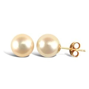 JES338 | 9ct yellow gold 8.5mm pearl stud earrings