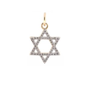JPD610 | 9ct Yellow Gold CZ set Star Of David Pendant